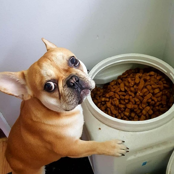 Meet your Posher, Christopher - Picture 2 of 2